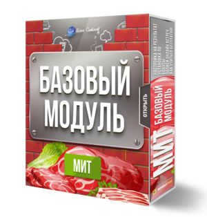 Права перепродажи + Базовый Модуль годовой программы МИТ